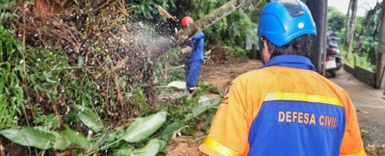 Após vendaval, Defesa Civil de Caraguatatuba vistoria quedas de árvores em 20 locais