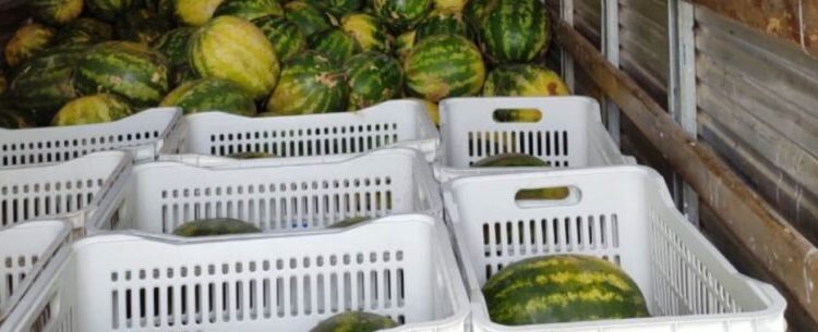 Banco de Alimentos de Caraguatatuba repassa mais de 500 kg de alimento em março