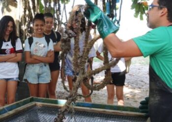 Alunos da rede municipal de Caraguatatuba participam de aula externa na praia da Cocanha