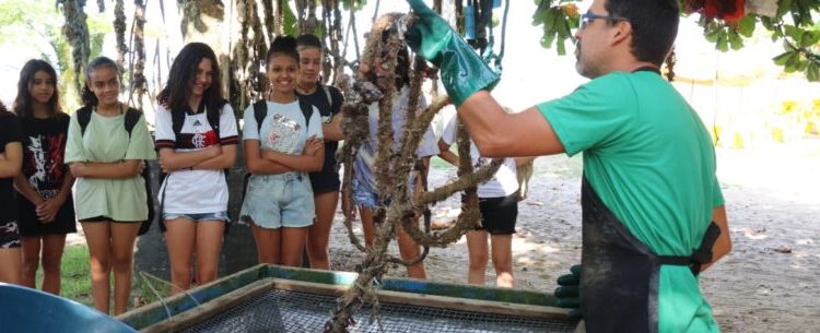 Alunos da rede municipal de Caraguatatuba participam de aula externa na praia da Cocanha