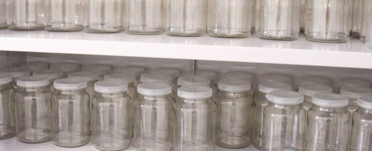 Banco de Leite Humano de Caraguatatuba continua com arrecadação de frasco de vidro