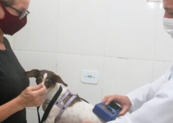 CCZ de Caraguatatuba abre agenda de castração de cães e gatos nesta sexta-feira