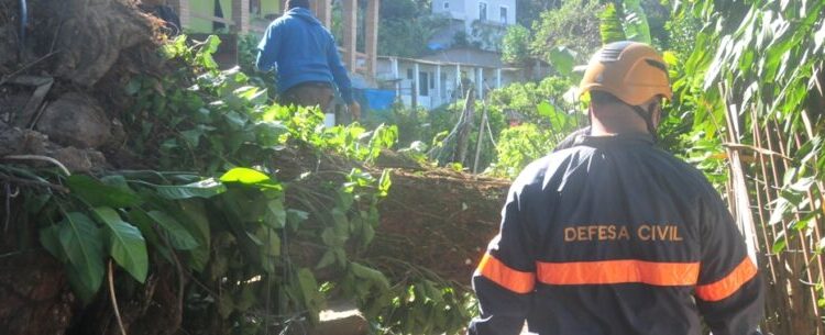 Prefeitura de Caraguatatuba e Defesa Civil avaliam estragos provocados por vendaval na cidade