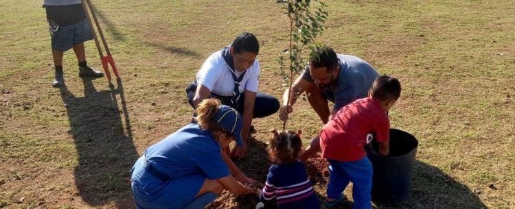 Secretaria de Meio Ambiente e Associação de Moradores promovem ação de plantio no Pontal Santamarina