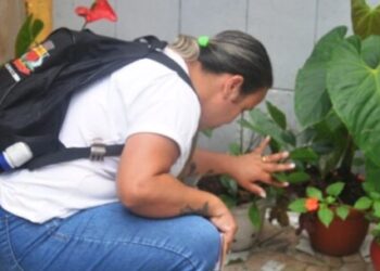 Resultado da ADL em 4% coloca Caraguatatuba em situação de risco para epidemia de dengue