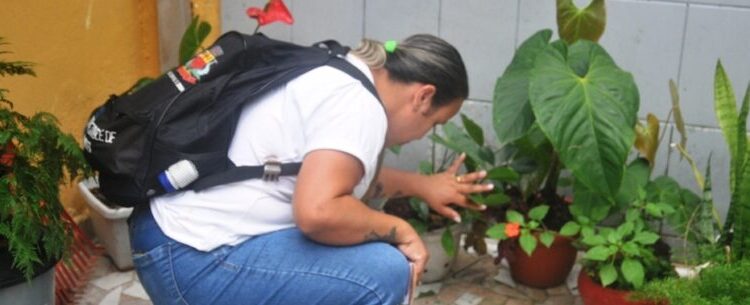 Resultado da ADL em 4% coloca Caraguatatuba em situação de risco para epidemia de dengue