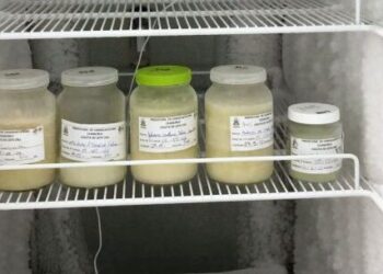 Banco de Leite Humano de Caraguatatuba procura novas doadoras para suprir estoque baixo