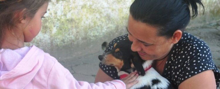 Nove animais recebem novos lares com Feira de Adoção de Cães e Gatos