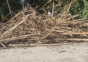 Em pouco mais de um mês, Prefeitura notifica 578 proprietários para limpeza de terrenos em Caraguatatuba