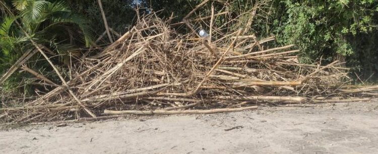 Em pouco mais de um mês, Prefeitura notifica 578 proprietários para limpeza de terrenos em Caraguatatuba