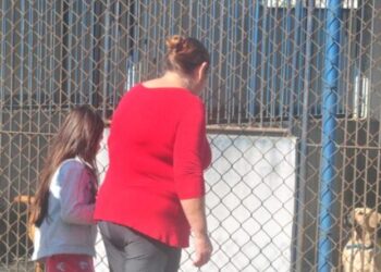 Caraguatatuba realiza Feira de Adoção de Cães e Gatos neste sábado