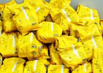 Fundo Social de Caraguatatuba recebe doações da Associação do Litoral Paulista de Jiu-Jitsu