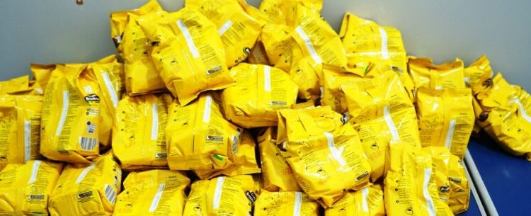 Fundo Social de Caraguatatuba recebe doações da Associação do Litoral Paulista de Jiu-Jitsu