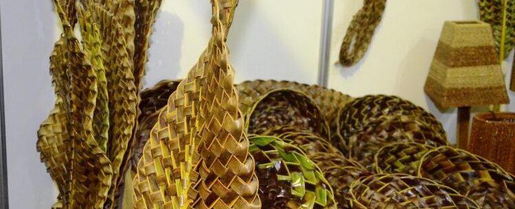 Prefeitura de Caraguatatuba seleciona artesãos para participar do Festival da Tainha & Pescados Caiçaras