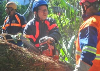 Ocorrências atendidas pela Defesa Civil de Caraguatatuba são maiores em maio devido a vendaval
