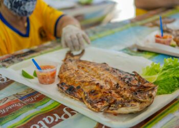 45ª Festa da Tainha de Bertioga começa nesta sexta (1º)