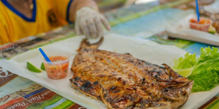 45ª Festa da Tainha de Bertioga acontece em julho