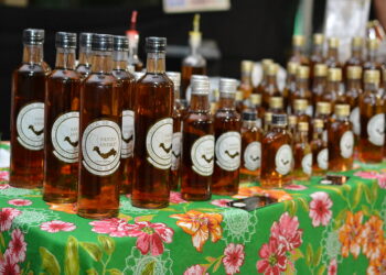 VII edição do Festival da Mata Atlântica de Bertioga inicia nesta sexta (3)