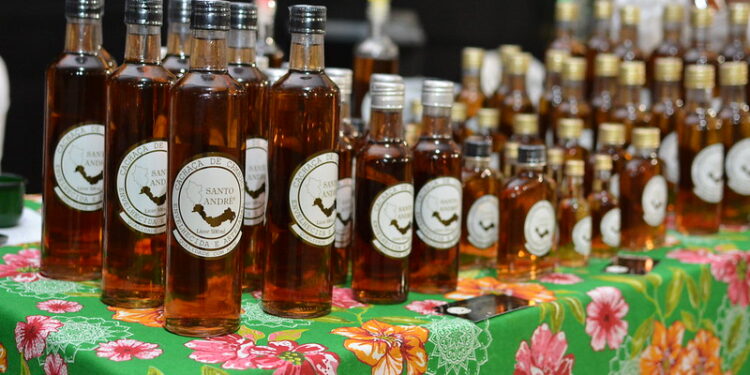 VII edição do Festival da Mata Atlântica de Bertioga inicia nesta sexta (3)