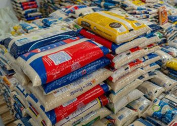 Bertioga 31 anos: Fundo Social de Solidariedade arrecada quase 11 toneladas de alimentos