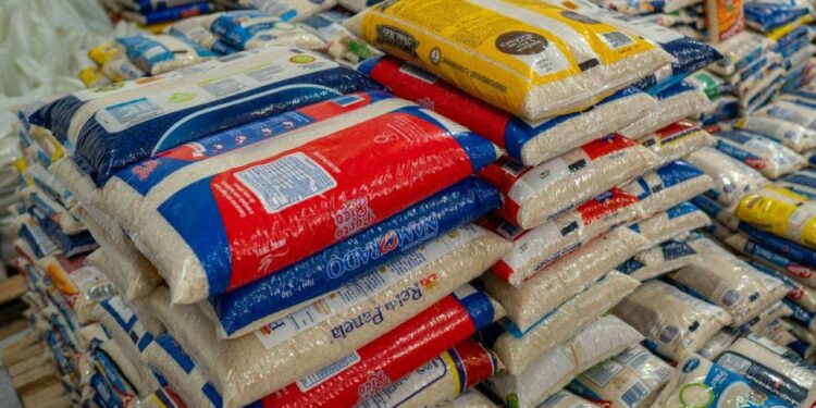 Bertioga 31 anos: Fundo Social de Solidariedade arrecada quase 11 toneladas de alimentos