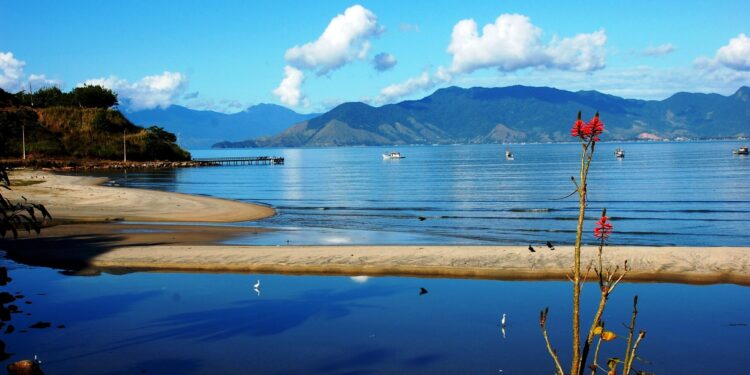 Talvez eu nunca saia daqui’ é a obra vencedora do 2º Concurso de Poesias da Fundacc