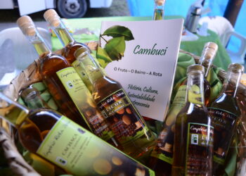 Caraguatatuba celebra 9ª edição do Festival do Cambuci neste domingo