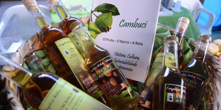 Caraguatatuba celebra 9ª edição do Festival do Cambuci neste domingo