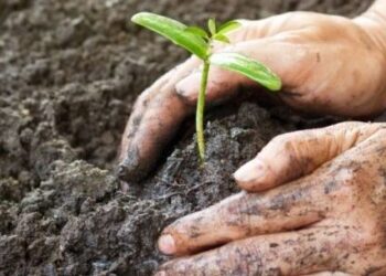 Prefeitura de Caraguatatuba promove atividades para comemorar a Semana do Meio Ambiente