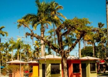 Prefeito sanciona lei que cria Cadastro Municipal do Artesão em Caraguatatuba