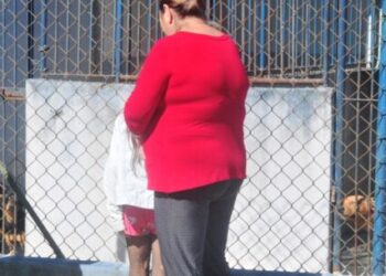 CCZ de Caraguatatuba disponibiliza 30 animais para adoção no próximo sábado