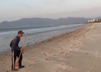 Prefeitura de Caraguatatuba realiza limpeza da Praia do Indaiá e Complexo Turístico do Camaroeiro
