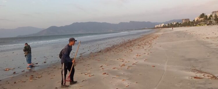Prefeitura de Caraguatatuba realiza limpeza da Praia do Indaiá e Complexo Turístico do Camaroeiro
