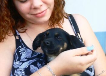 Feira de Adoção de Cães e Gatos proporciona novos lares para três animais