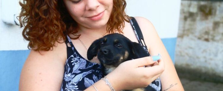 Feira de Adoção de Cães e Gatos proporciona novos lares para três animais