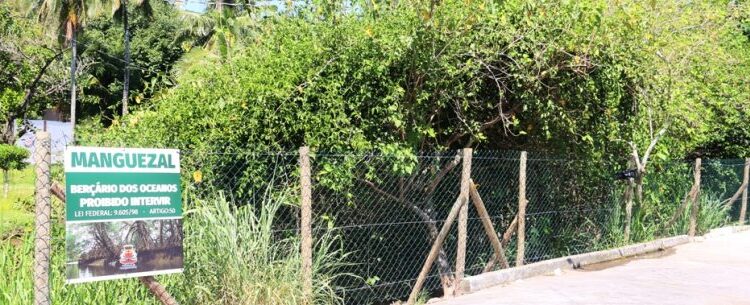 Secretaria de Meio Ambiente de Caraguatatuba promove ação de Limpeza do Mangue do Camaroeiro