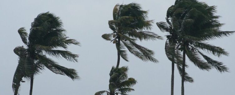 Defesa Civil faz alerta para rajadas de ventos de 115 km/h no Litoral Paulista