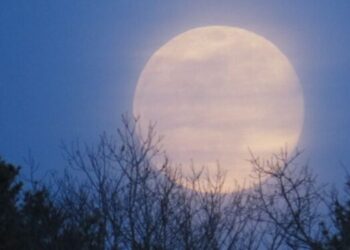 Olhe para o céu! Última Superlua do ano e chuva de meteoros acontecem nesta semana