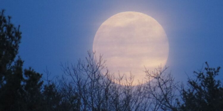 Olhe para o céu! Última Superlua do ano e chuva de meteoros acontecem nesta semana