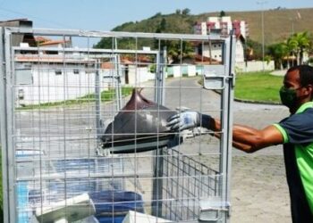 Empresa parceira da Prefeitura de Caraguatatuba recolhe eletrodomésticos durante Multiação no Massaguaçu