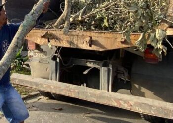 Gaivotas e Massaguaçu recebem ‘Bairro a Bairro’ nesta semana