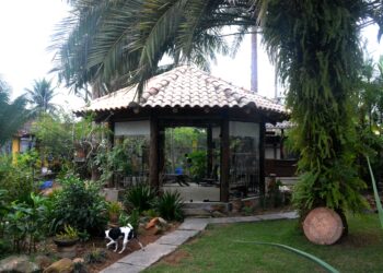 Ceramista Carlo Cury e Claudio Luiz Dias, de Caraguatatuba, inauguram acervo indígena Hartãt