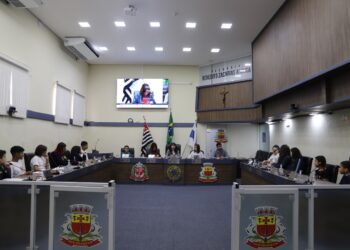 Jovens vereadores aprovam proposituras durante 2ª sessão ordinária da Câmara Jovem