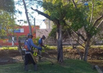 Tinga, Ponte Seca e Jardim Primavera recebem serviços de limpeza pela Prefeitura de Caraguatatuba
