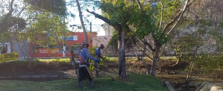 Tinga, Ponte Seca e Jardim Primavera recebem serviços de limpeza pela Prefeitura de Caraguatatuba