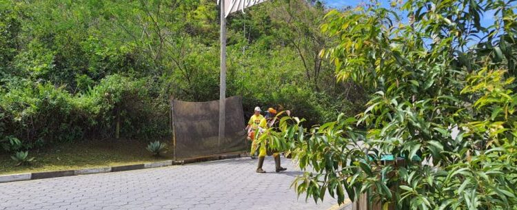 Caraguatatuba inicia Programa ‘Bairro a Bairro’ na Orla da Praia nesta segunda-feira