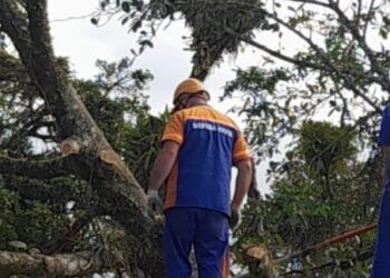 Atendimento da Defesa Civil de Caraguatatuba a demandas do Canal 156 mantém média no mês de agosto