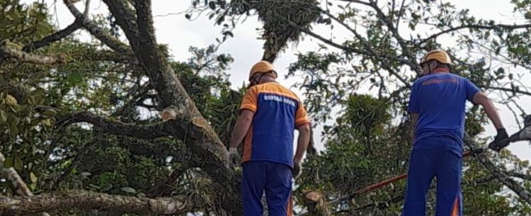 Atendimento da Defesa Civil de Caraguatatuba a demandas do Canal 156 mantém média no mês de agosto