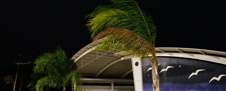 Primavera chega nesta quinta-feira com previsão de frio e ventos fortes