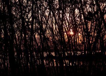 Exposição fotográfica ‘Finito’ é atração no Museu de Arte e Cultura de Caraguatatuba